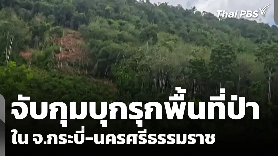 จับกุมบุกรุกพื้นที่ป่าใน จ.กระบี่-นครศรีธรรมราช 