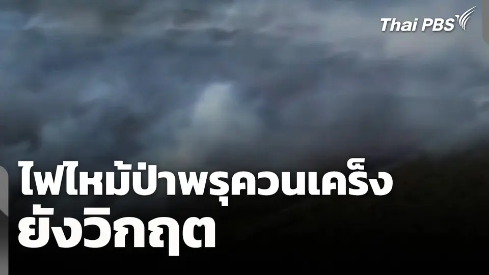 ไฟไหม้ป่าพรุควนเคร็ง จ.นครศรีธรรมราช ยังวิกฤต