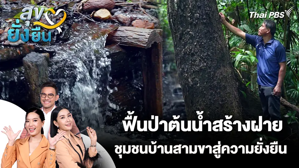 สุขยั่งยืน : ฟื้นป่าต้นน้ำสร้างฝายชุมชนบ้านสามขาสู่ความยั่งยืน