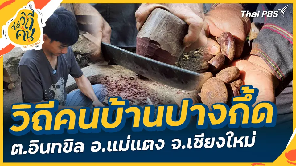 ซีรีส์วิถีคน