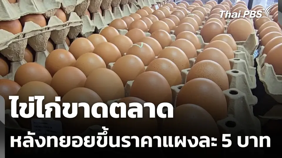 ไข่ไก่ขาดตลาดหลังทยอยขึ้นราคาแผงละ 5 บาท