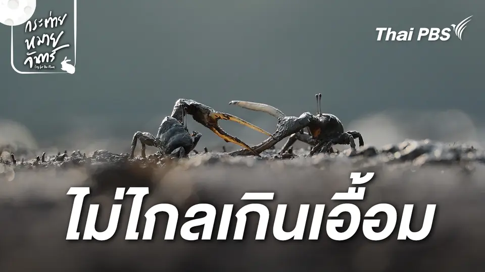  ไม่ไกลเกินเอื้อม