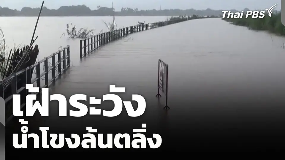 เฝ้าระวังน้ำโขงล้นตลิ่ง |