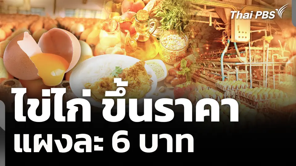 ไข่ไก่ ขึ้นราคาแผงละ 6 บาท