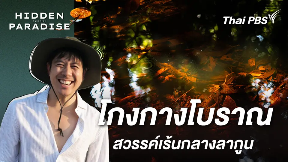 โกงกางโบราณ : สวรรค์เร้นกลางลากูน