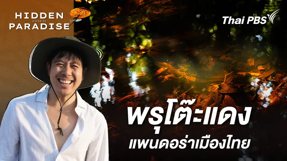Hidden Paradise สวรรค์เร้น