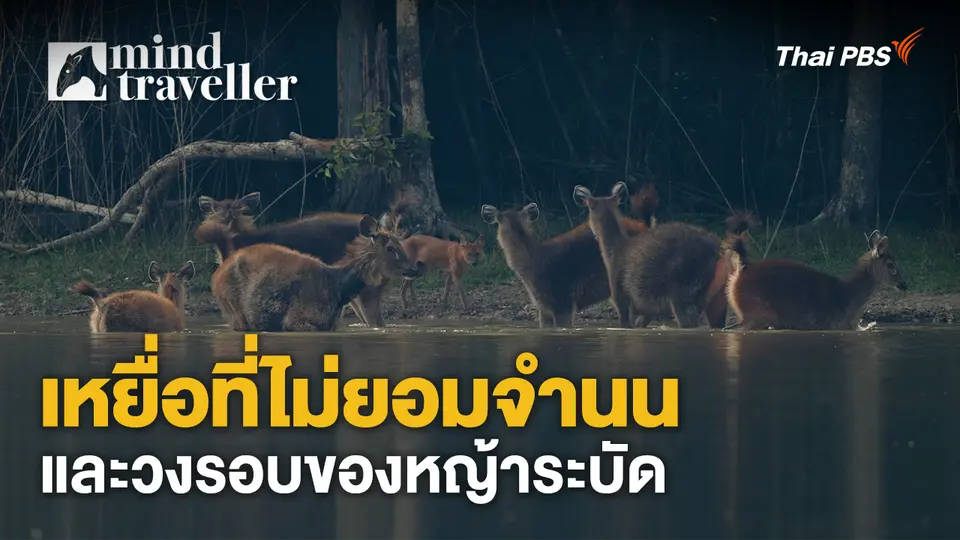 Mind Traveller ชีพจรไพร