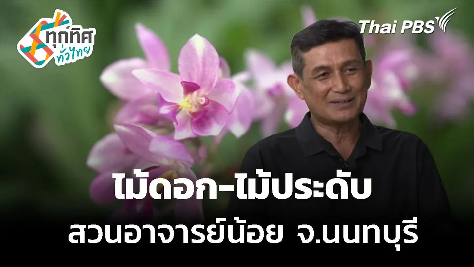 ไม้ดอก-ไม้ประดับ สวนอาจารย์น้อย จ.นนทบุรี 
