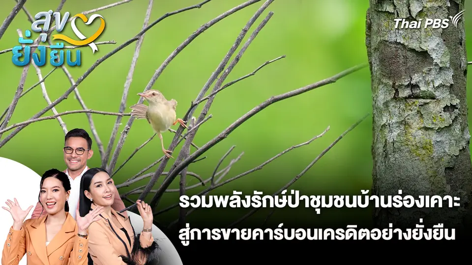 สุขยั่งยืน : รวมพลังรักษ์ป่าชุมชนบ้านร่องเคาะ สู่การขายคาร์บอนเครดิตอย่างยั่งยืน