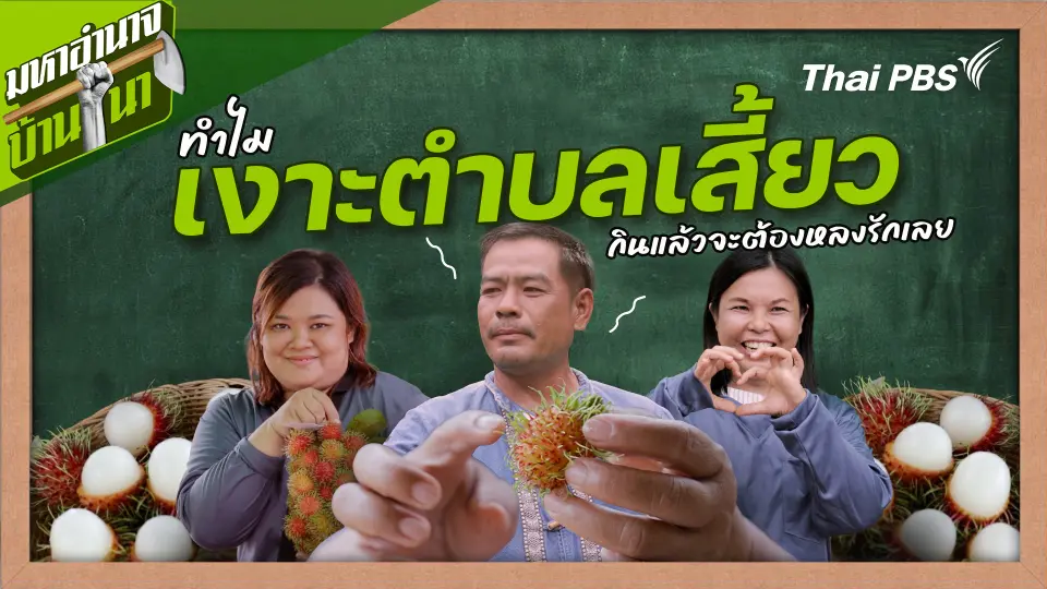 สูตรลับฉบับบ้านนา : ทำไมเงาะตำบลเสี้ยว กินแล้วจะต้องหลงรักเลย