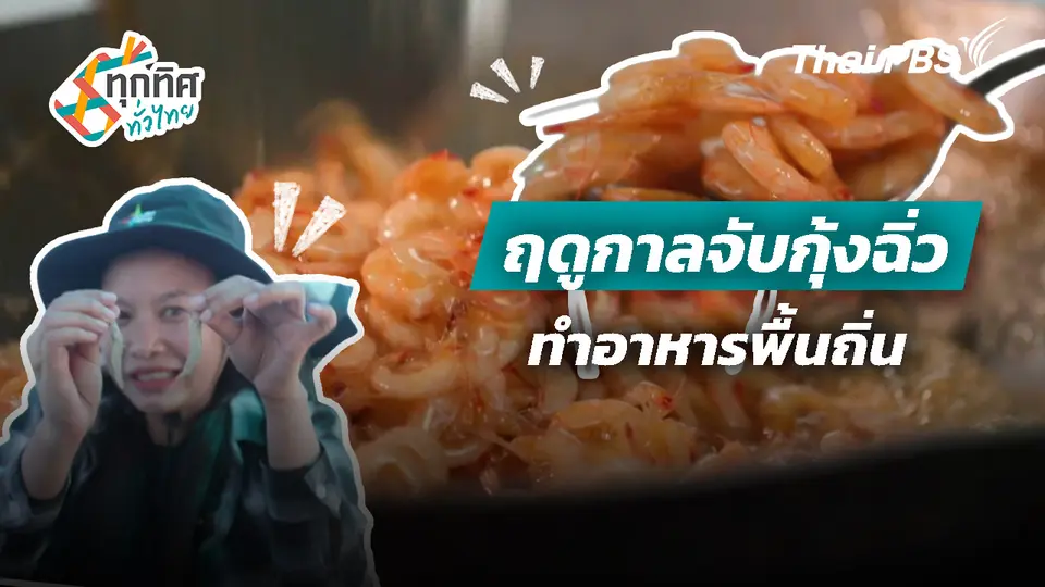 ฤดูกาลจับกุ้งฉิ่วทำอาหารพื้นถิ่น