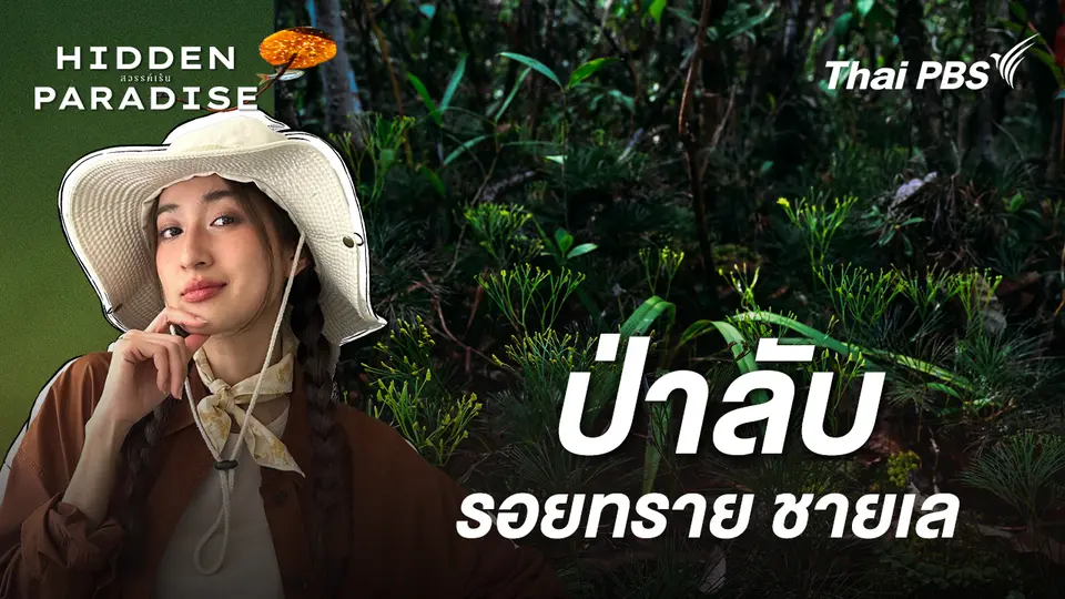 Hidden Paradise สวรรค์เร้น