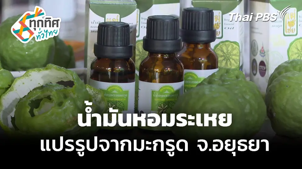 น้ำมันหอมระเหย แปรรูปจากมะกรูด จ.พระนครศรีอยุธยา