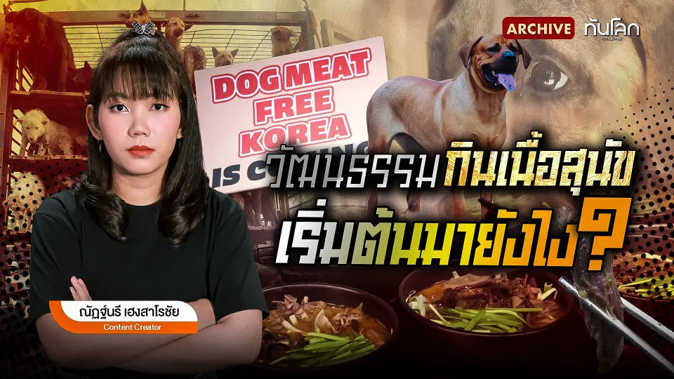 วัฒนธรรมกินเนื้อสุนัขเริ่มต้นมายังไง ?