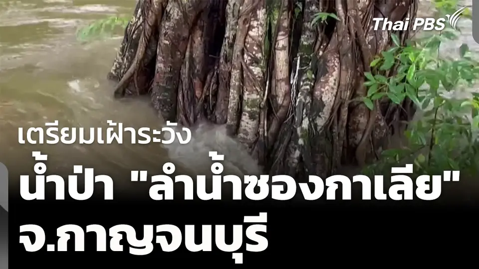 เฝ้าระวังน้ำป่า "ลำน้ำซองกาเลีย" จ.กาญจนบุรี