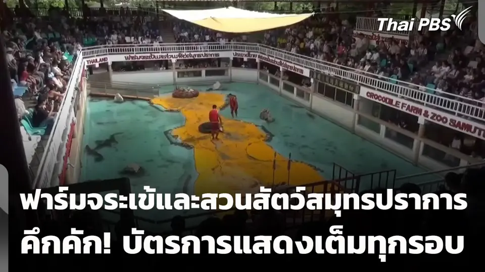 ฟาร์มจระเข้และสวนสัตว์สมุทรปราการ คึกคัก! บัตรการแสดงเต็มทุกรอบ