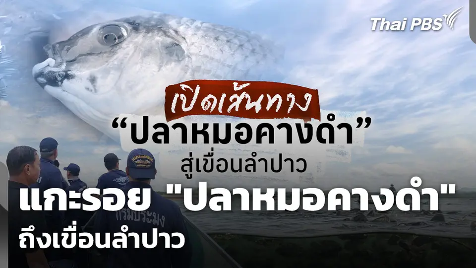 แกะรอย "ปลาหมอคางดำ" ถึงเขื่อนลำปาว