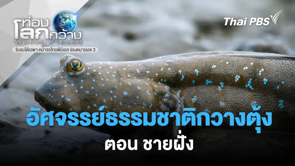 ท่องโลกกว้าง