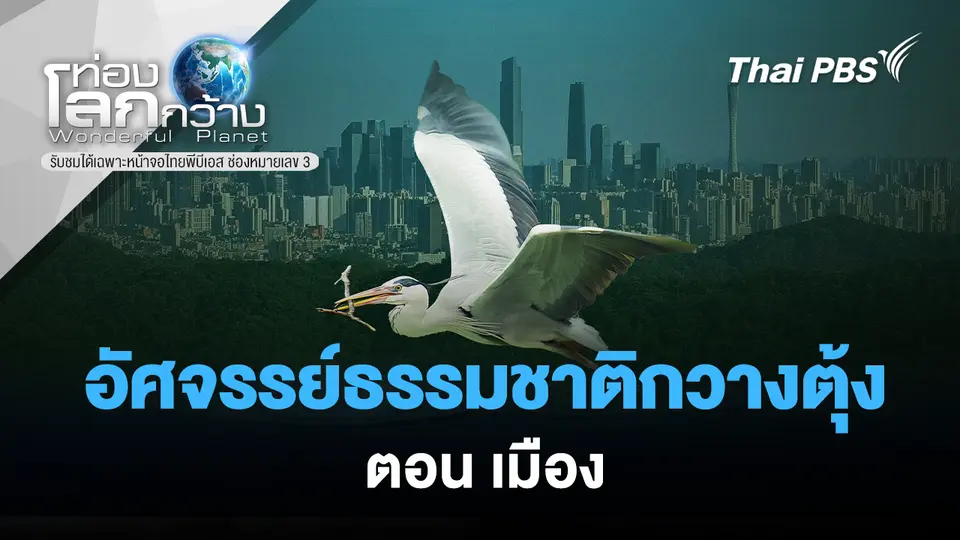 ท่องโลกกว้าง
