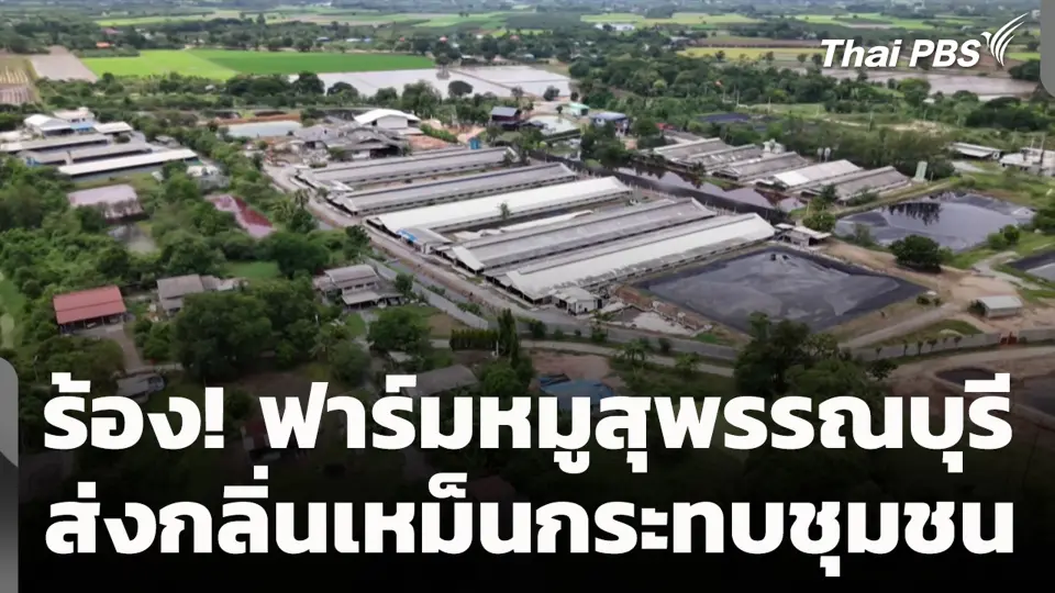 ร้อง! ฟาร์มหมูสุพรรณบุรี ส่งกลิ่นเหม็นกระทบชุมชน