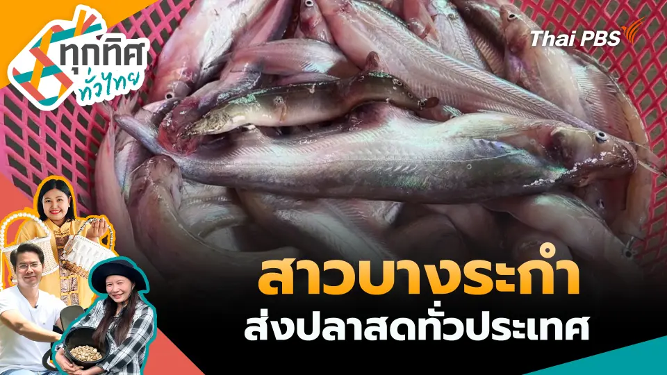 ทุกทิศทั่วไทย