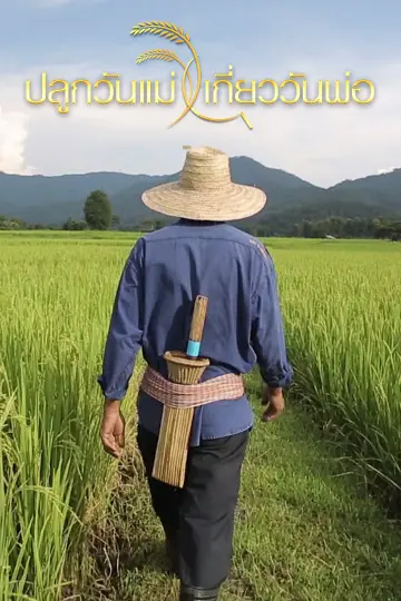 cover-image