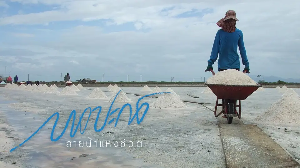 บางปะกง สายน้ำแห่งชีวิต