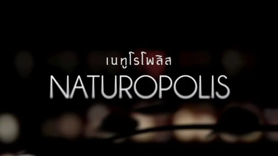 เนทูโรโพลิส
