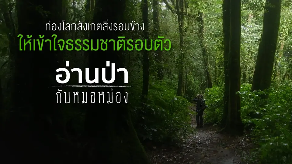 อ่านป่ากับหมอหม่อง