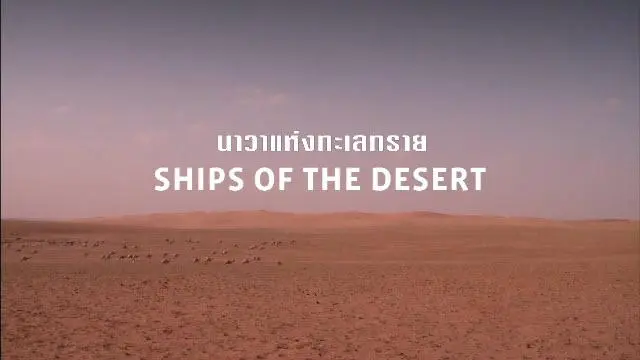 สารคดี นาวาแห่งทะเลทราย