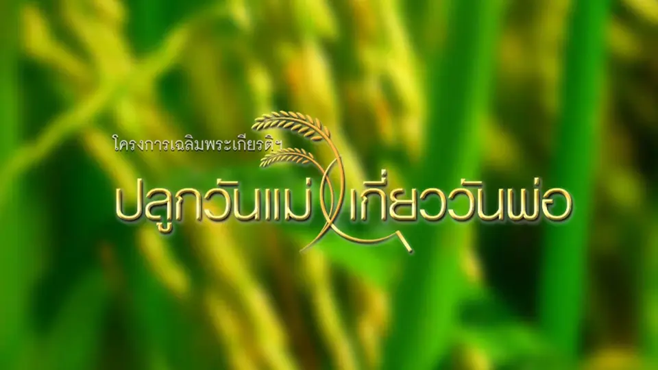 ถ่ายทอดสด พิธีเปิดโครงการ ปลูกวันแม่เกี่ยววันพ่อ