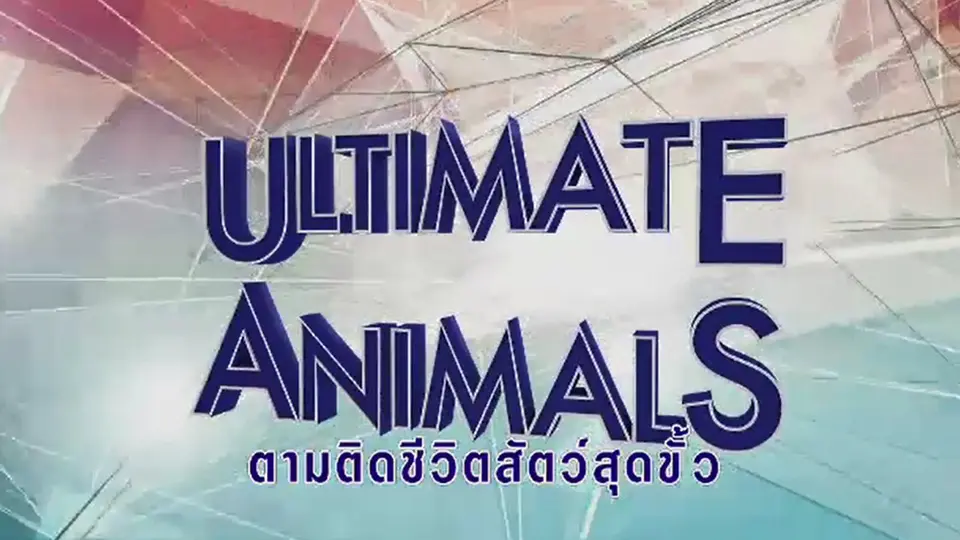 สารคดี ตามติดชีวิตสัตว์...อุรังอุตัง แรคคูน แมวป่าคาราคัล