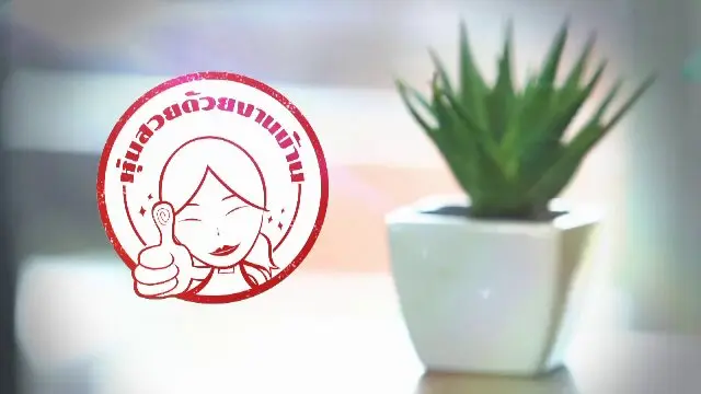 หุ่นสวยด้วยงานบ้าน