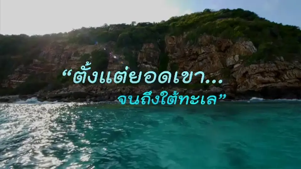 สารคดี ตั้งแต่ยอดเขา...จนถึงใต้ทะเล