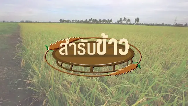 สำรับข้าว