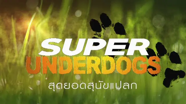 สารคดี สุดยอดสุนัขแปลก
