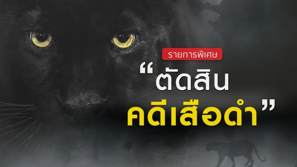 รายการพิเศษ "ตัดสินคดีเสือดำ"