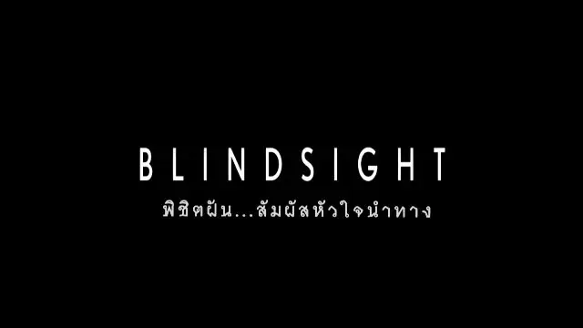 ภาพยนตร์ พิชิตฝัน...สัมผัสหัวใจนำทาง