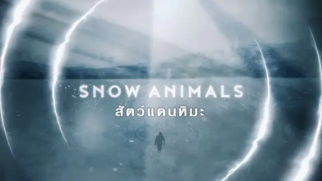 สารคดี สัตว์แดนหิมะ