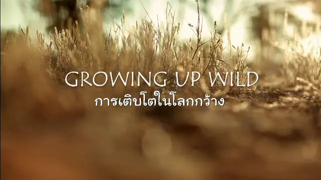 สารคดี การเติบโตในโลกกว้าง