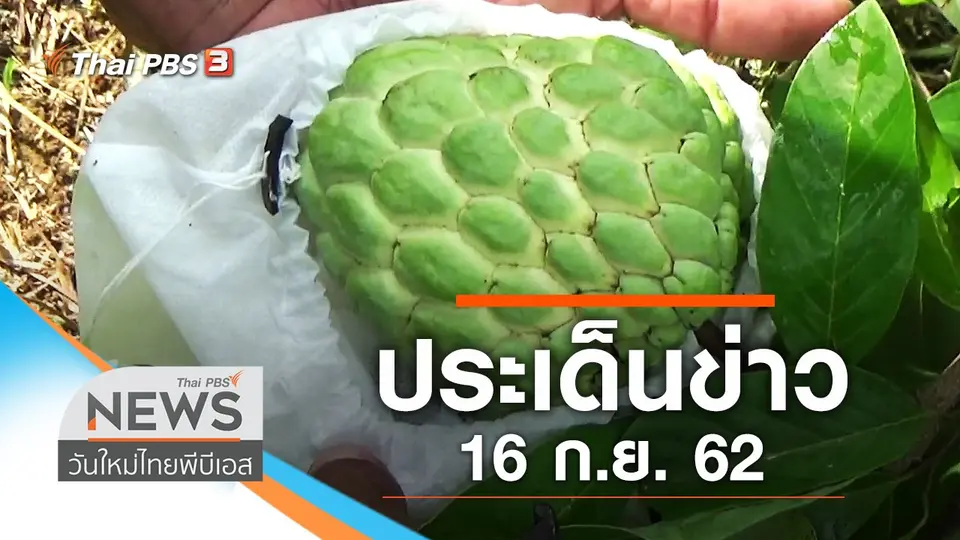 วันใหม่  ไทยพีบีเอส