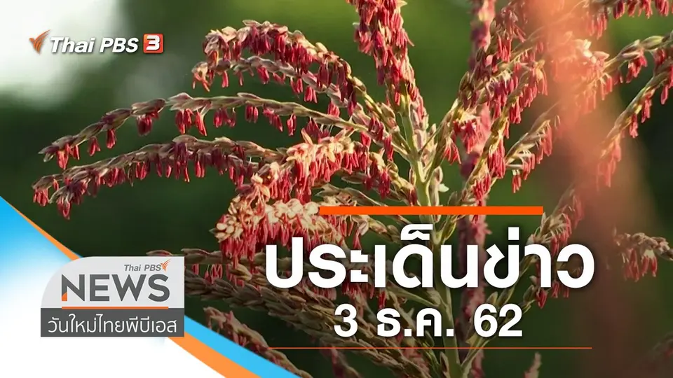 วันใหม่  ไทยพีบีเอส