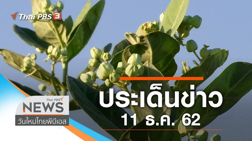 วันใหม่  ไทยพีบีเอส