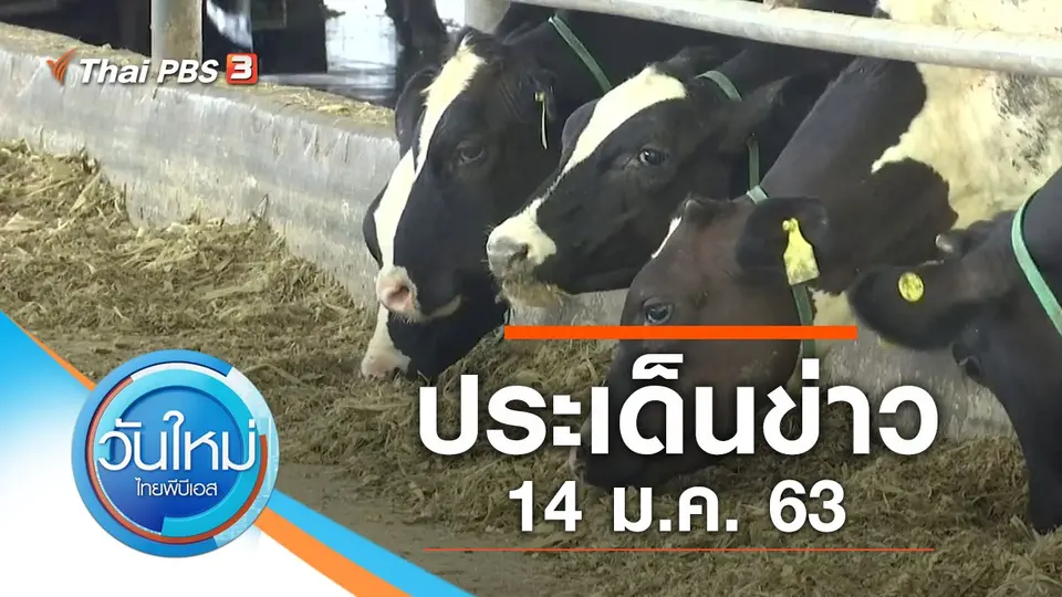 วันใหม่  ไทยพีบีเอส