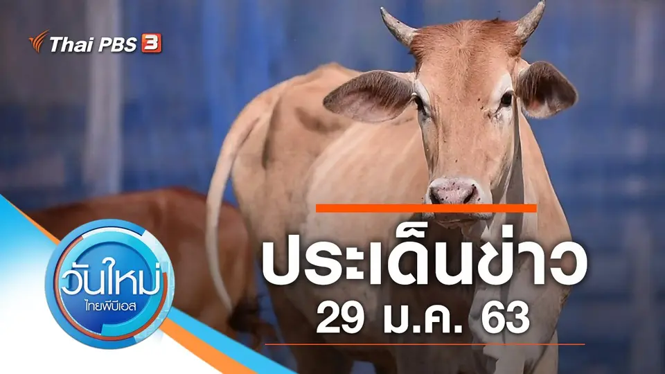 วันใหม่  ไทยพีบีเอส
