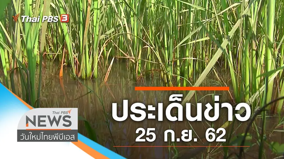 วันใหม่  ไทยพีบีเอส