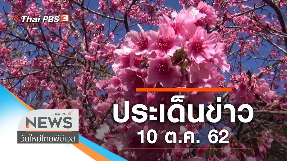 วันใหม่  ไทยพีบีเอส