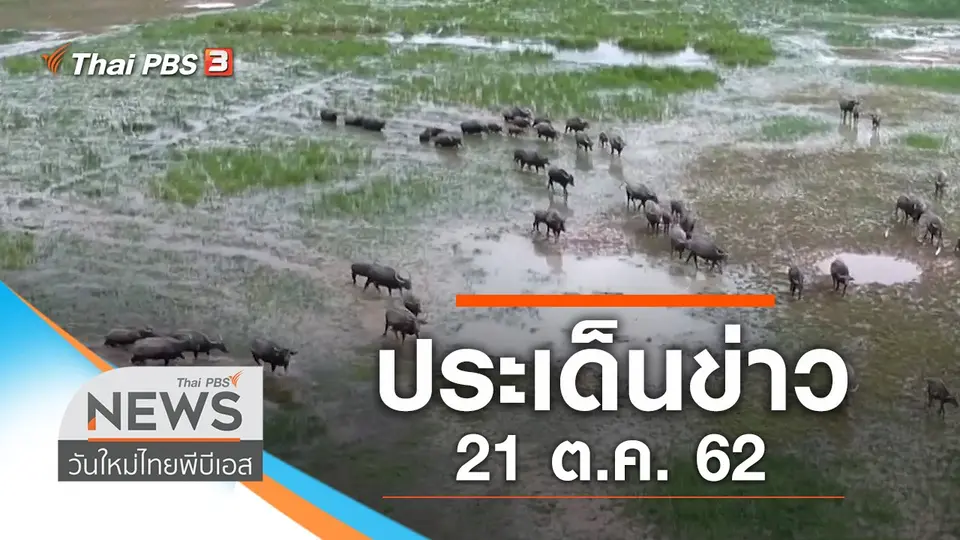 วันใหม่  ไทยพีบีเอส