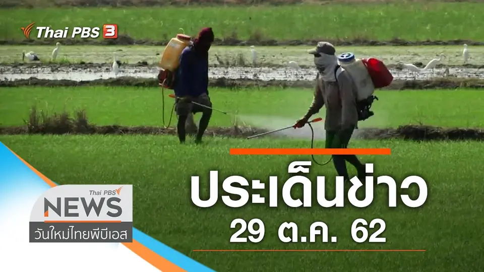 วันใหม่  ไทยพีบีเอส