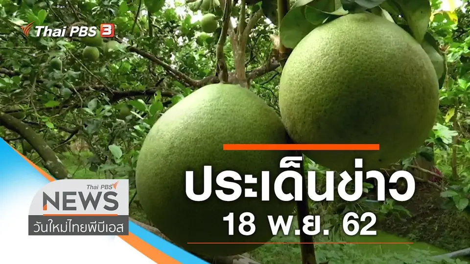 วันใหม่  ไทยพีบีเอส